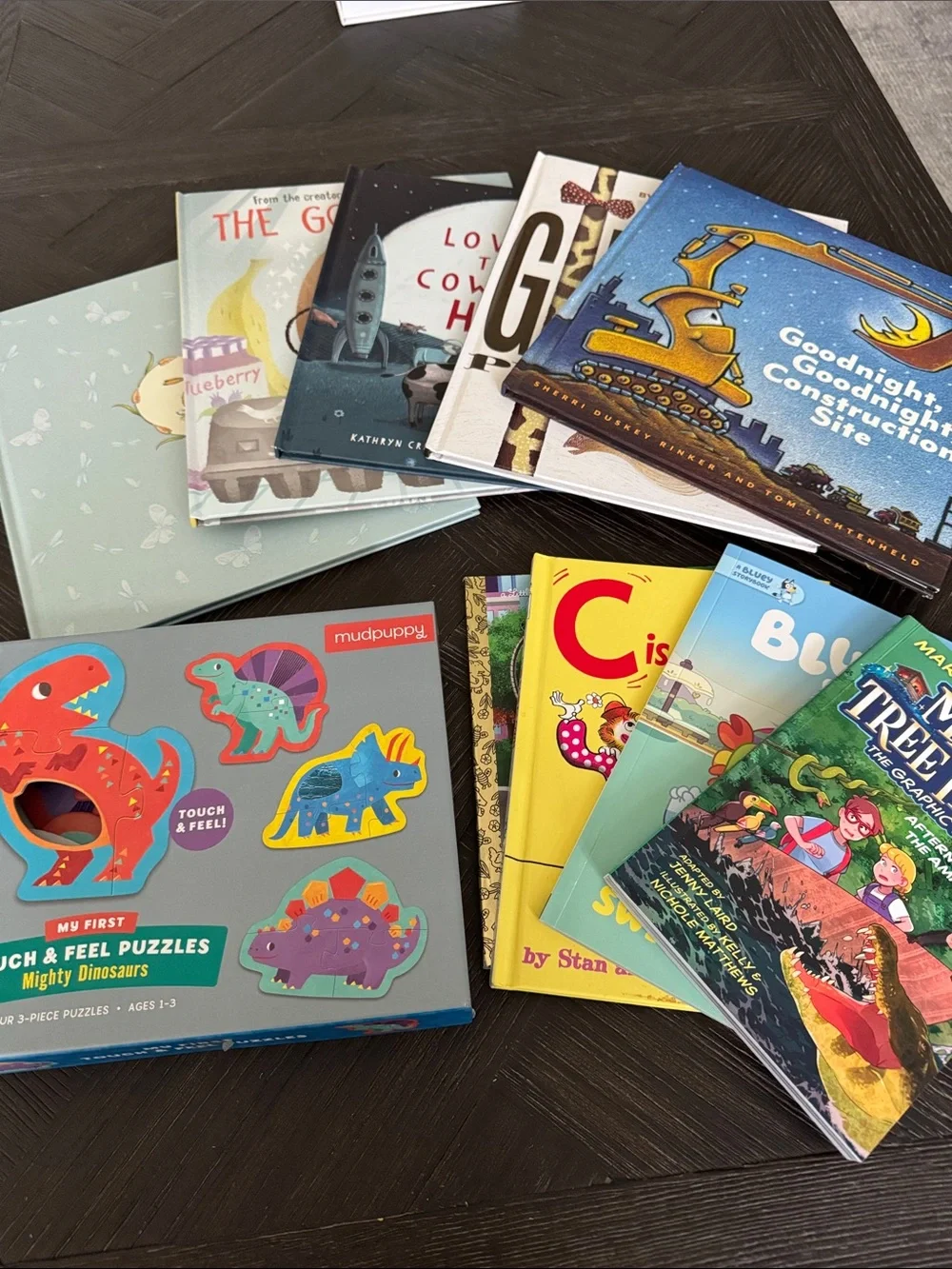 Kids Book Bundle & Dinosaur Puzzle Lot Ages 2-8 | Homeschool Preschool l Gifts